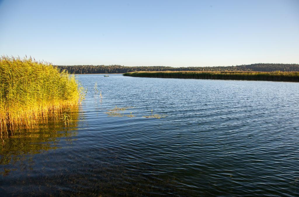 Siedlisko Wigry Panzió Rosochaty Rog Kültér fotó