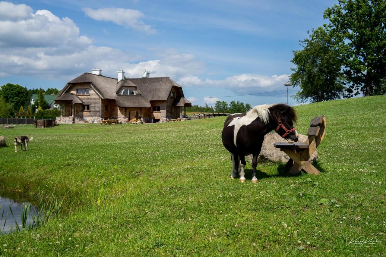 Siedlisko Wigry Panzió Rosochaty Rog Kültér fotó